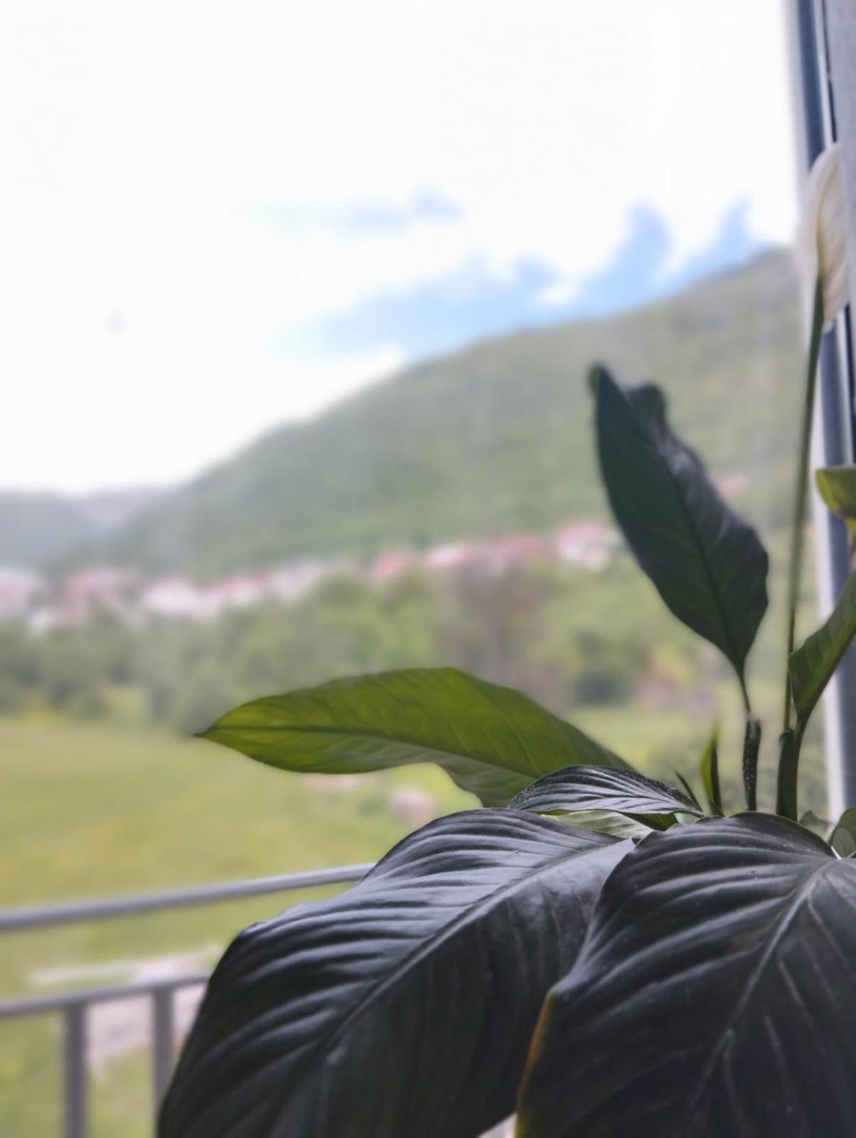 Apartman La Casa *