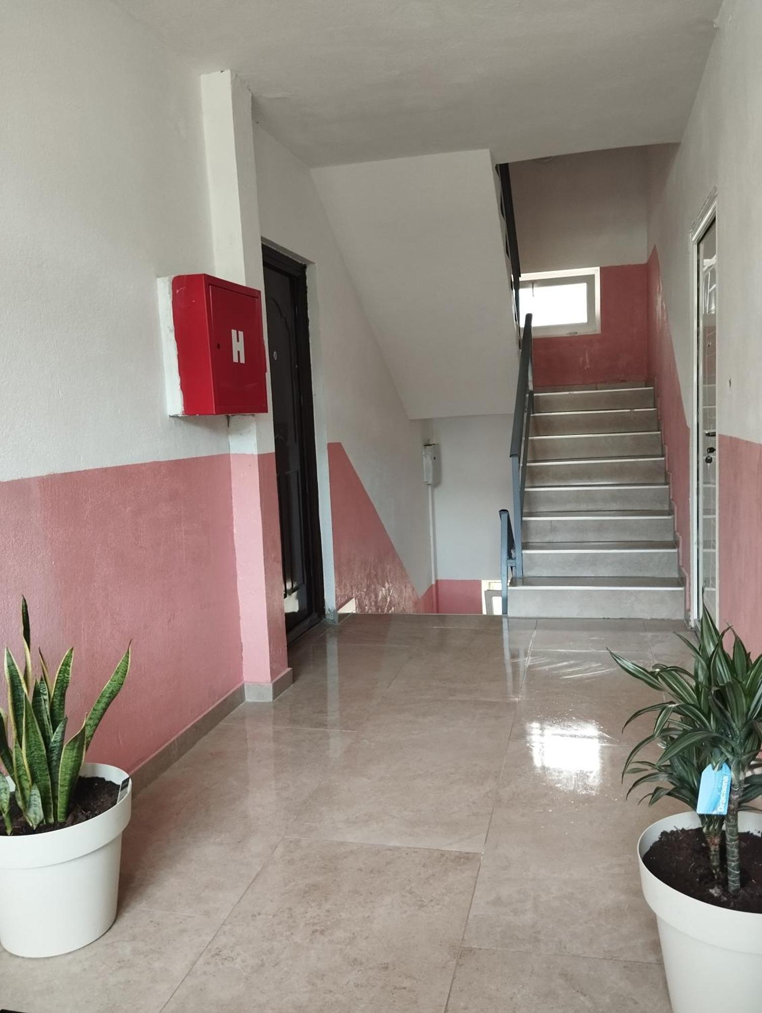 La Casa * Pluzine